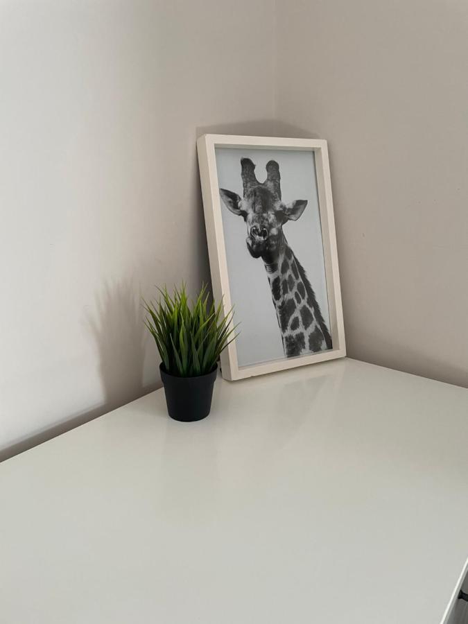 The Corner House - Modern Chesterfield Town Centre Apartments 外观 照片